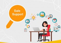 Nhân Viên Sale & Marketing Support (Nữ)