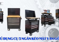 Vì sao dân cơ khí lại ưa chuộng tủ dụng cụ 5 ngăn?